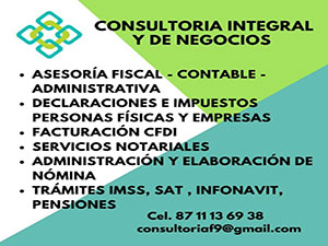 Consultoría Integral y de Negocios